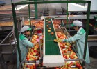 El impacto del nuevo veto ruso a los alimentos El impacto del nuevo veto ruso a los alimentos