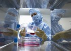 Las 'biotec' españolas ya desarrollan 115 fármacos Las 'biotec' españolas ya desarrollan 115 fármacos