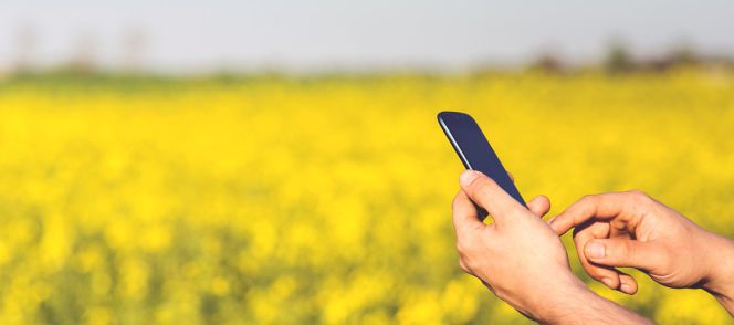 ¿Qué hay del “roaming” en mis vacaciones?