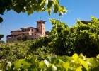 El capricho vinícola de un abogado de las Caimán El capricho vinícola de un abogado de las Caimán