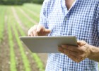 ‘Startups’ al servicio de la agroalimentación ‘Startups’ al servicio de la agroalimentación