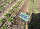Drones y sensores toman la huerta Drones y sensores toman la huerta
