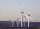 Iberdrola dará la luz a Amazon Iberdrola dará la luz a Amazon