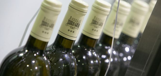 Botellas del vino Bodega Terras Gauda.