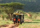 ‘Hakuna matata’ en las grandes sabanas de África ‘Hakuna matata’ en las grandes sabanas de África