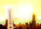 Cómo rendir en el trabajo
en plena ola de calor Cómo rendir en el trabajo
en plena ola de calor