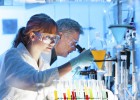 La empresa sí colabora con la universidad La empresa sí colabora con la universidad