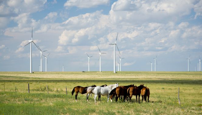 Parque eólico de Iberdrola en Twin Buttes, Colorado.