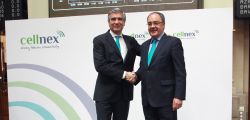 Los valores ganadores de los estrenos en el parqué