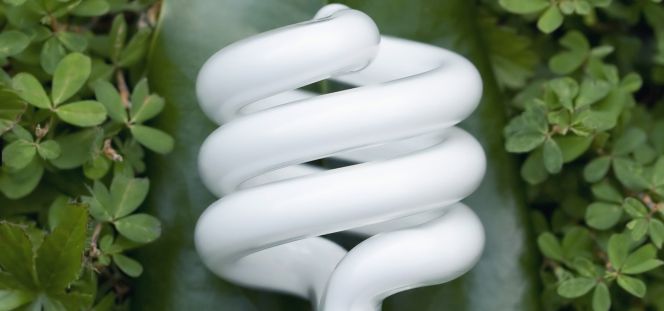 Bombilla de ahorro de energía.