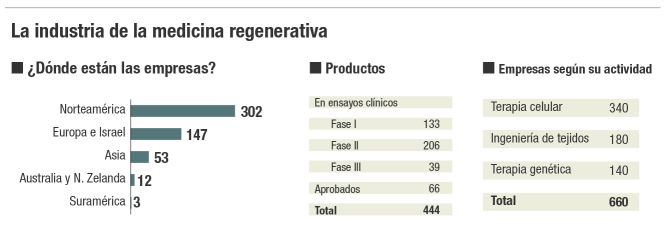 Las terapias celulares convencen a los inversores