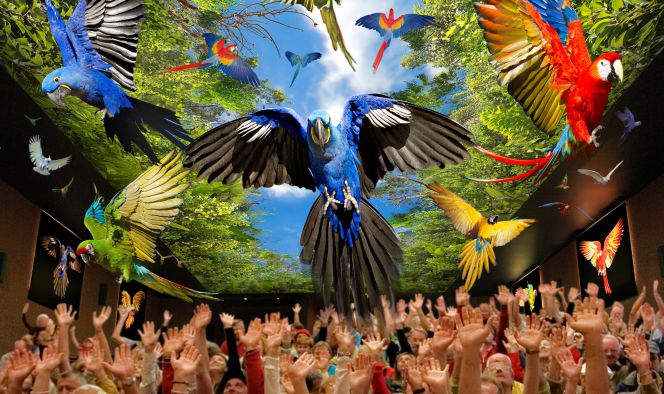 Animales, atracciones y relax en Tenerife