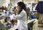 El reciclado del aceite, base para la economía circular El reciclado del aceite, base para la economía circular