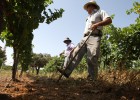 Los colectivos que sortearon el bache del empleo en agosto Los colectivos que sortearon el bache del empleo en agosto