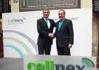 Los valores que liderarán la metamorfosis del Ibex Los valores que liderarán la metamorfosis del Ibex