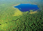 Deforestación cero para proteger el negocio Deforestación cero para proteger el negocio