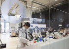 Una gran red que conecta la ciencia con la industria Una gran red que conecta la ciencia con la industria