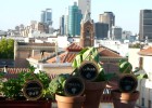 ‘Crowdfunding’para impulsar los huertos urbanos ‘Crowdfunding’para impulsar los huertos urbanos