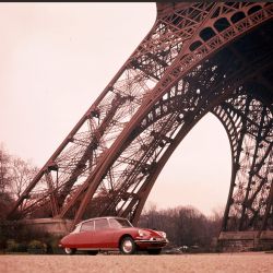 El tiburón que enamoró a la Torre Eiffel
