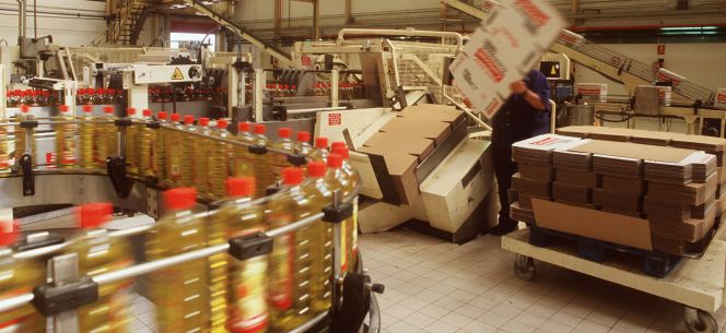 Nada sube ya más de precio en España que el aceite de oliva