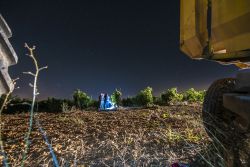 Una máquina vendimiadora en los campos de la bodega Hermanos del Villar (Rueda).