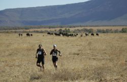 Maratón del Big Five