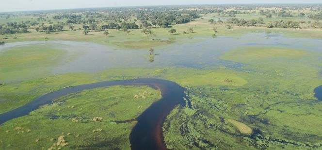 Delta del Okavango, en Botsuana.