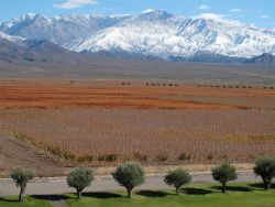 Andes