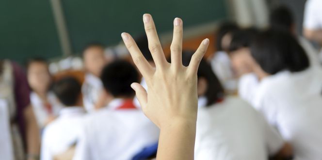 Por qué gustan los modelos educativos alemán e inglés