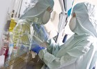 La alternativa a los fármacos biológicos tiene ya patronal La alternativa a los fármacos biológicos tiene ya patronal