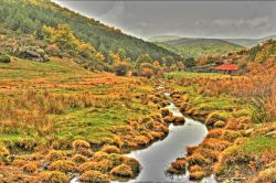 Río Lillas