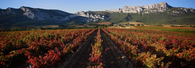 El primer certificado específico para bodegas
