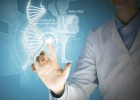 España entra en la élite europea de la bioinformática España entra en la élite europea de la bioinformática