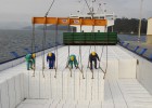 Ence planea inversiones por 662 millones hasta 2020 Ence planea inversiones por 662 millones hasta 2020