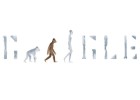 Lucy, la australopithecus de 41 años Lucy, la australopithecus de 41 años