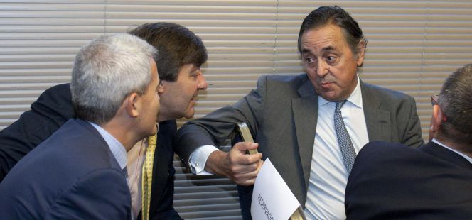 El presidente de la comisión de vigilancia de Pescanova, Jacobo González-Robatto.