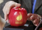 Semana “decisiva” para que la COP21 sustituya a Kioto Semana “decisiva” para que la COP21 sustituya a Kioto