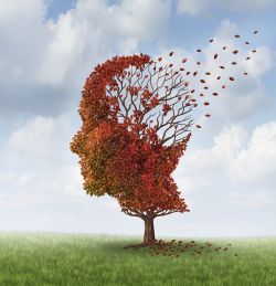 La cultura del éxito perjudica la salud mental de las personas