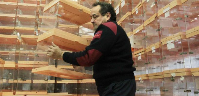 Un trabajador mueve varias urnas en los talleres municipales de donde salen las urnas hacia los distintos colegios electorales para que todo esté listo para los comicios del próximo domingo.