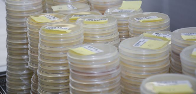 PharmaMar fracasa en el desarrollo de dos fármacos