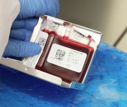 Seis pymes sanitarias con gran potencial