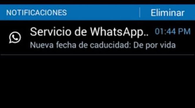 WhatsApp activa las suscripciones gratuitas para siempre ¿cómo compruebo que me ha llegado?