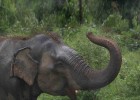 Sri Lanka, un vergel tropical en el Índico Sri Lanka, un vergel tropical en el Índico