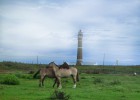 Los caminos del vino conducen a Uruguay Los caminos del vino conducen a Uruguay