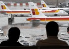 Aena cierra dos pistas de Barajas para cazar jabalíes Aena cierra dos pistas de Barajas para cazar jabalíes
