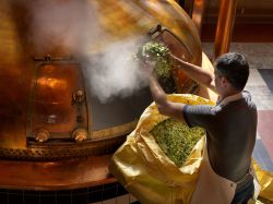 La cerveza belga quiere entrar en el mercado español