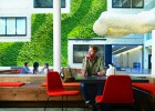 Un toque verde en la oficina aumenta la productividad Un toque verde en la oficina aumenta la productividad