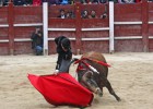 La CNMC investiga al gremio de los toreros La CNMC investiga al gremio de los toreros