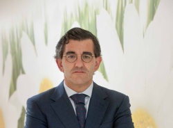 Los médicos de Madrid se juegan su futuro en las urnas