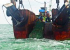 España, a la cabeza de la lucha contra la pesca ilegal España, a la cabeza de la lucha contra la pesca ilegal